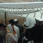 Oversize tallit for Simchas Torah - Kol Hanearim