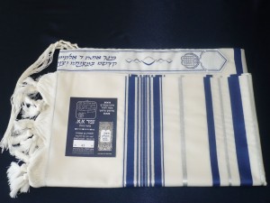 Prima Tallit - Navy with Silver