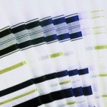 Acrylic Tallit