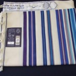Bnei Ohr Blue Medley