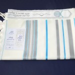 Gray & Turquoise Tallit