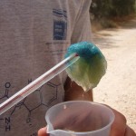 Does techelet dye have to come from a kosher animal?