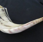 Where to buy a shofar