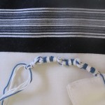Ptil Tekhelet - Vilna Gaontying